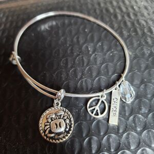 Astrology/Zodiac Expandable Bangle Charm Bracelet Cancer